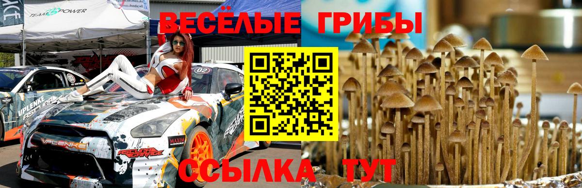 Галлюциногенные грибы Psilocybine cubensis Кушва